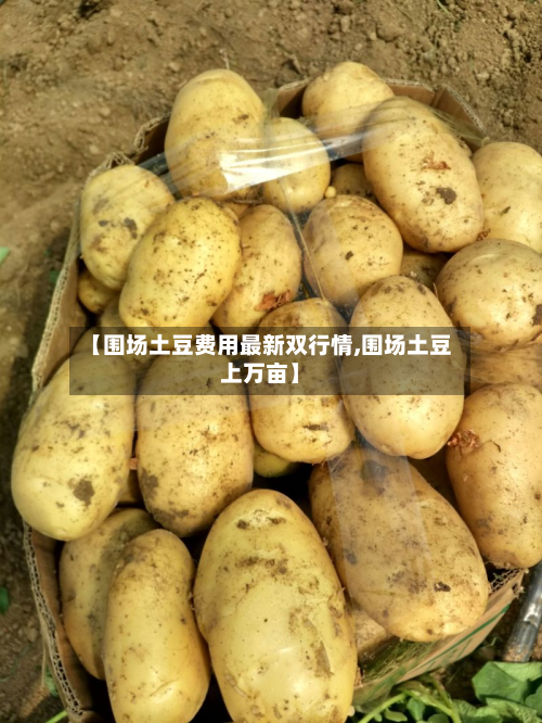 【围场土豆费用最新双行情,围场土豆上万亩】