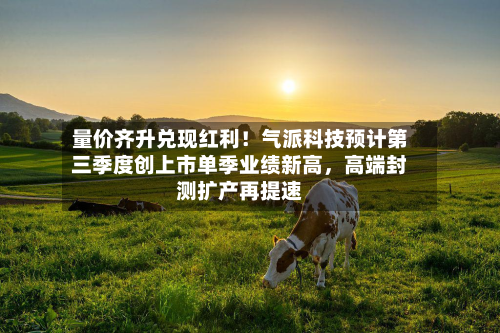 量价齐升兑现红利！气派科技预计第三季度创上市单季业绩新高，高端封测扩产再提速-第3张图片