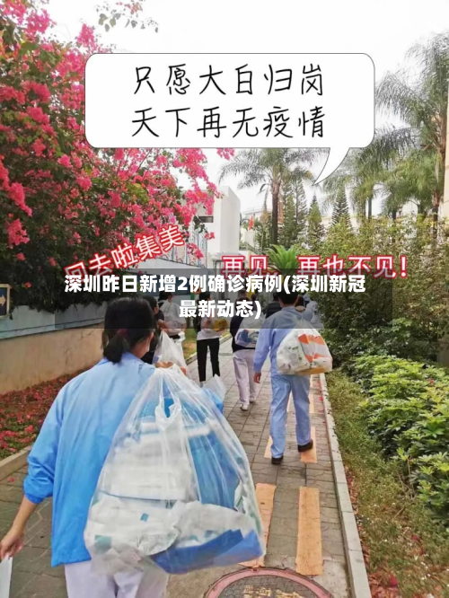 深圳昨日新增2例确诊病例(深圳新冠最新动态)-第2张图片
