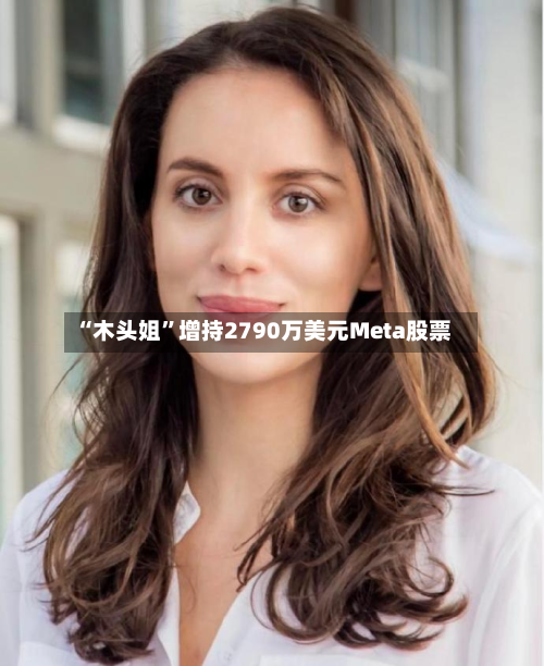 “木头姐”增持2790万美元Meta股票-第2张图片