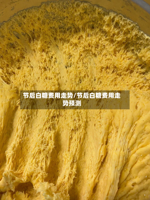 节后白糖费用走势/节后白糖费用走势预测-第3张图片