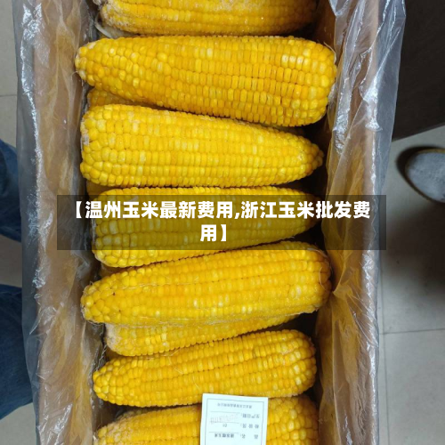 【温州玉米最新费用,浙江玉米批发费用】
