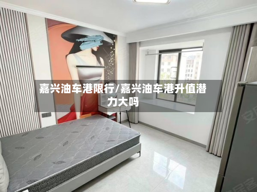 嘉兴油车港限行/嘉兴油车港升值潜力大吗-第2张图片