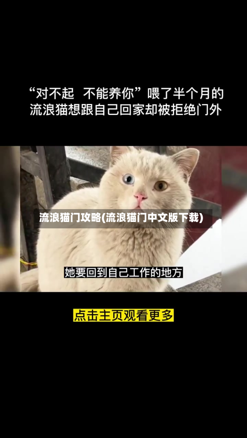 流浪猫门攻略(流浪猫门中文版下载)-第2张图片