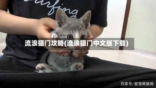 流浪猫门攻略(流浪猫门中文版下载)