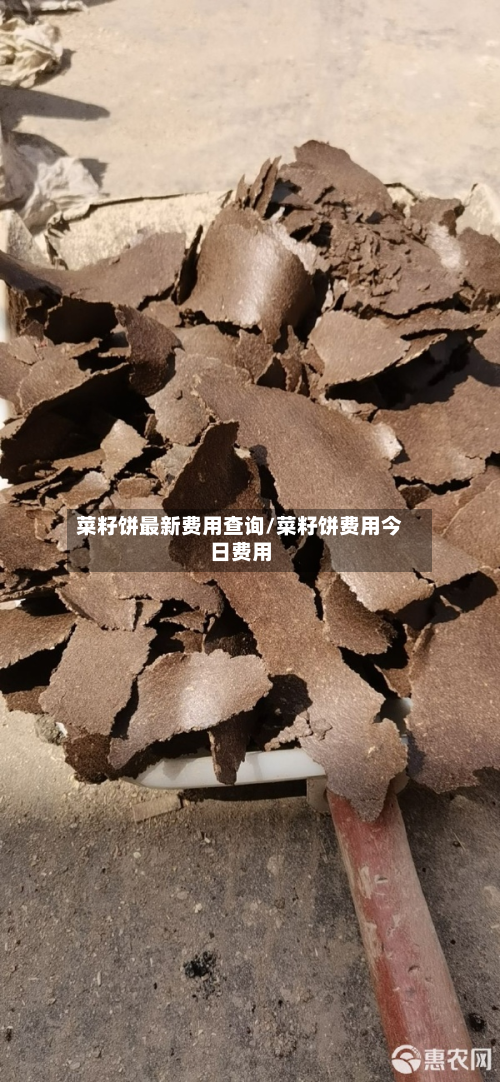 菜籽饼最新费用查询/菜籽饼费用今日费用-第3张图片
