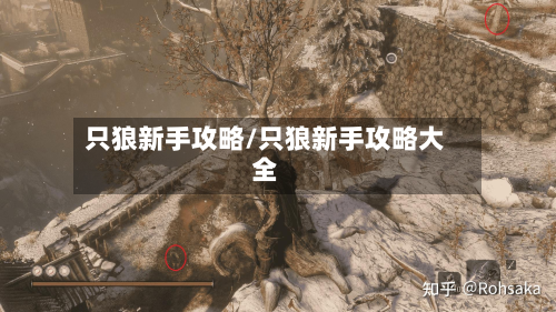 只狼新手攻略/只狼新手攻略大全