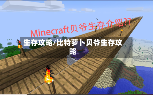 生存攻略/比特萝卜贝爷生存攻略