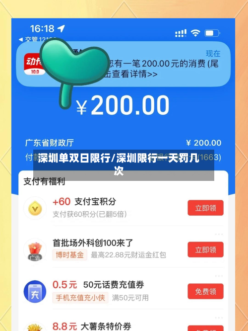 深圳单双日限行/深圳限行一天罚几次