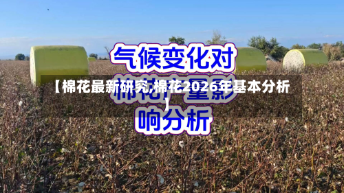【棉花最新研究,棉花2026年基本分析】