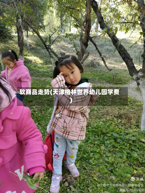 软商品走势(天津格林世界幼儿园学费)