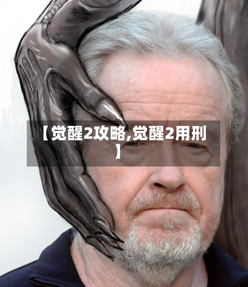【觉醒2攻略,觉醒2用刑】-第2张图片