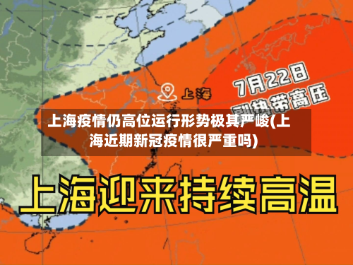 上海疫情仍高位运行形势极其严峻(上海近期新冠疫情很严重吗)-第3张图片