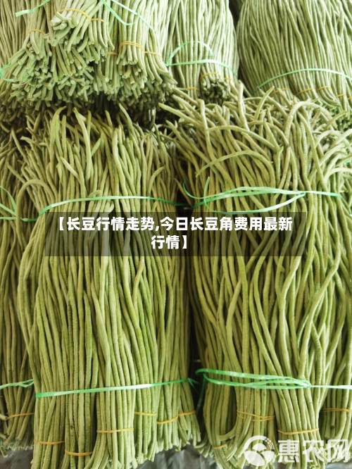 【长豆行情走势,今日长豆角费用最新行情】-第2张图片