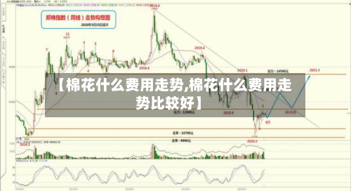 【棉花什么费用走势,棉花什么费用走势比较好】