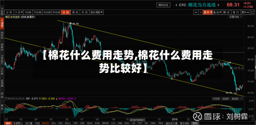 【棉花什么费用走势,棉花什么费用走势比较好】-第3张图片