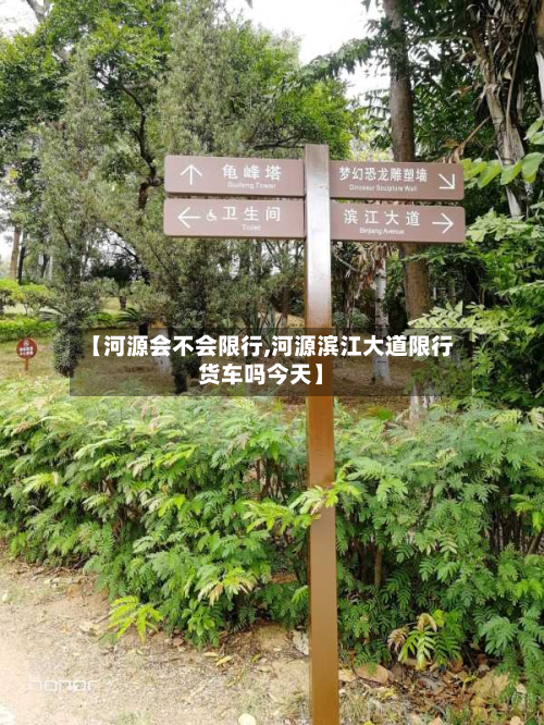 【河源会不会限行,河源滨江大道限行货车吗今天】-第2张图片