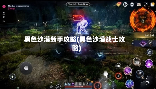 黑色沙漠新手攻略(黑色沙漠战士攻略)-第2张图片