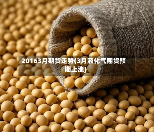 20163月期货走势(3月液化气期货预期上涨)