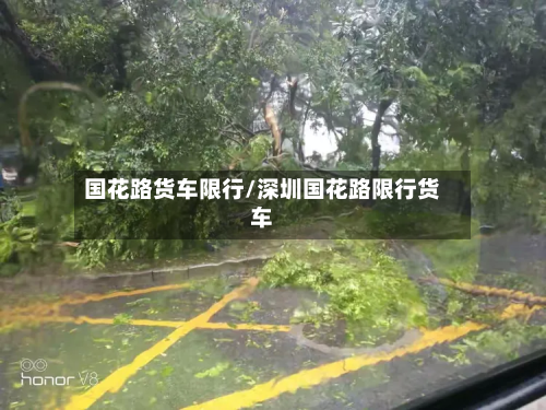 国花路货车限行/深圳国花路限行货车