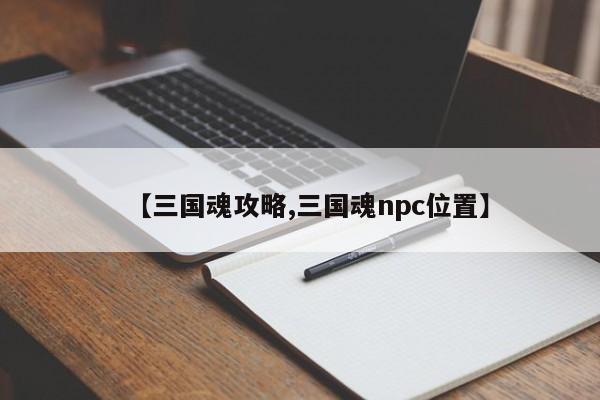 【三国魂攻略,三国魂npc位置】
