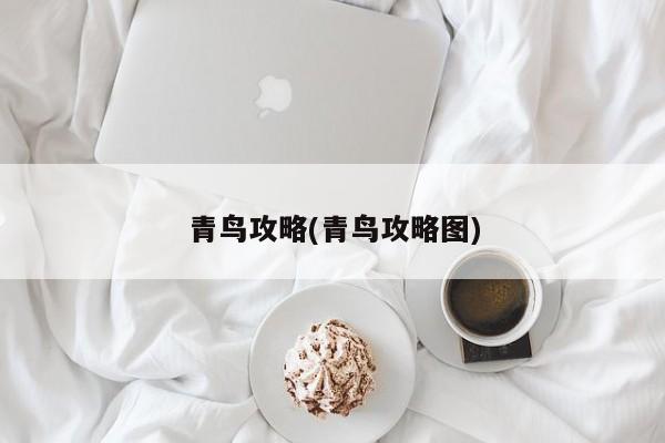 青鸟攻略(青鸟攻略图)