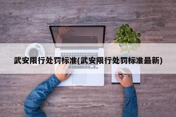 武安限行处罚标准(武安限行处罚标准最新)