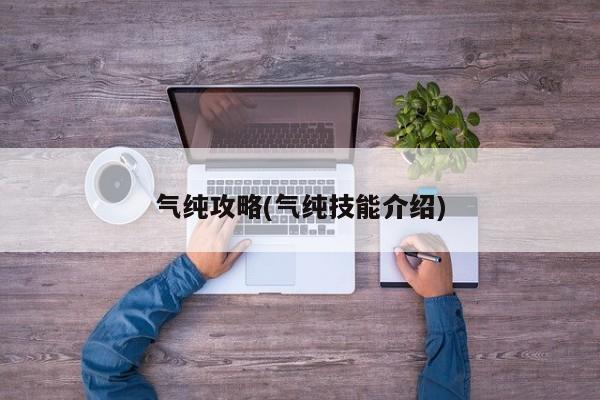 气纯攻略(气纯技能介绍)