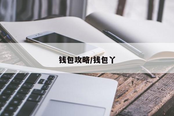 钱包攻略/钱包丫