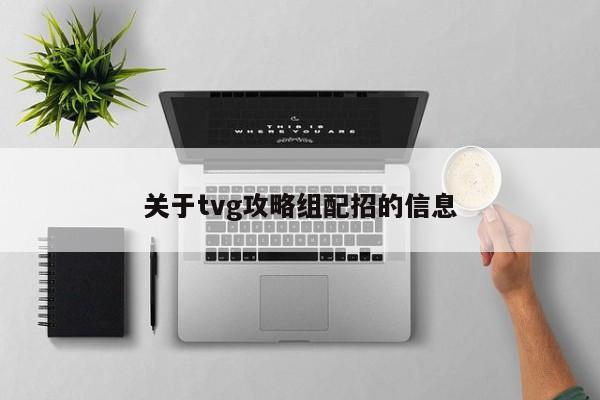 关于tvg攻略组配招的信息