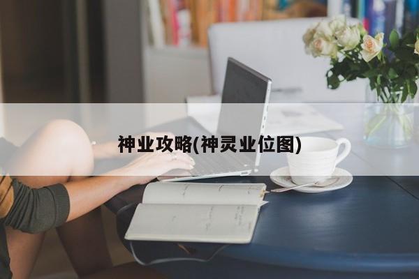 神业攻略(神灵业位图)