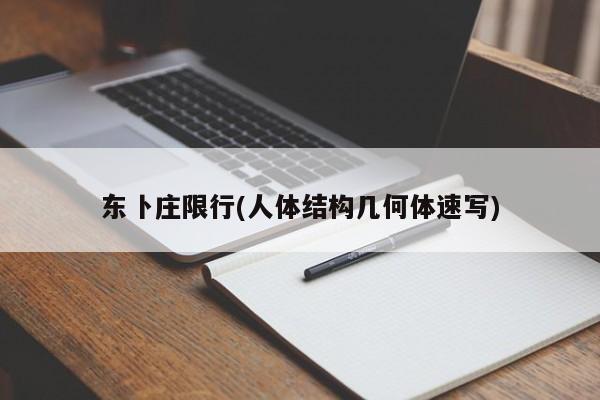 东卜庄限行(人体结构几何体速写)