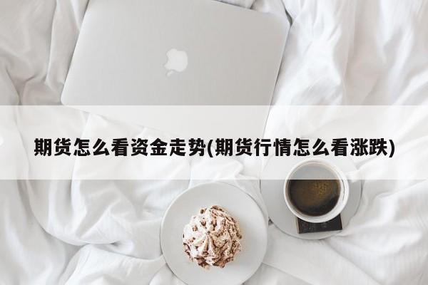 期货怎么看资金走势(期货行情怎么看涨跌)