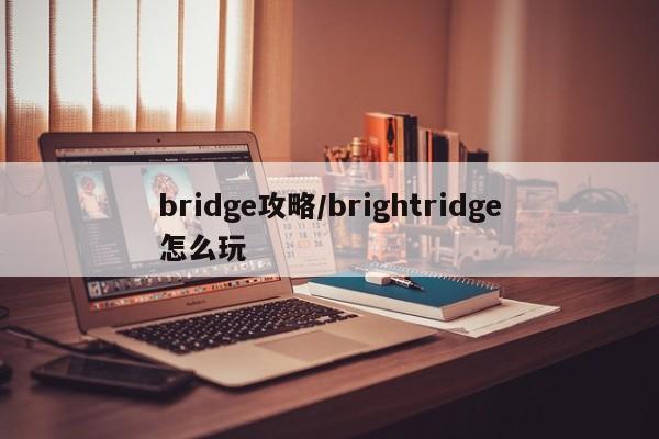 bridge攻略/brightridge怎么玩