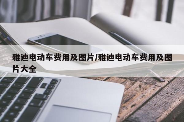 雅迪电动车费用及图片/雅迪电动车费用及图片大全