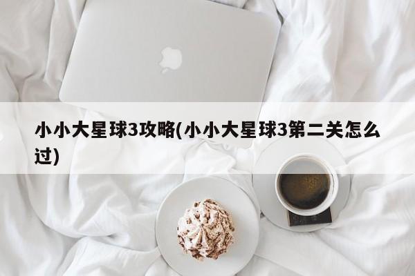 小小大星球3攻略(小小大星球3第二关怎么过)