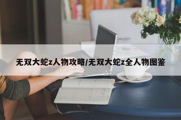无双大蛇z人物攻略/无双大蛇z全人物图鉴