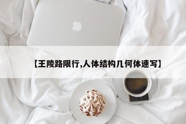 【王陵路限行,人体结构几何体速写】