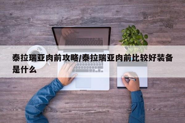 泰拉瑞亚肉前攻略/泰拉瑞亚肉前比较好装备是什么
